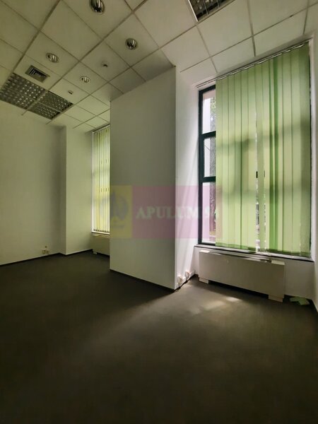 Inchiriere spatiu comercial bd Unirii, vitrina 25ml, stradal